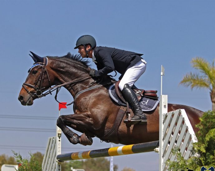 The JumpOff, Showjumping News, South Africa,