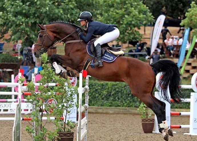 The JumpOff, Showjumping News, South Africa,