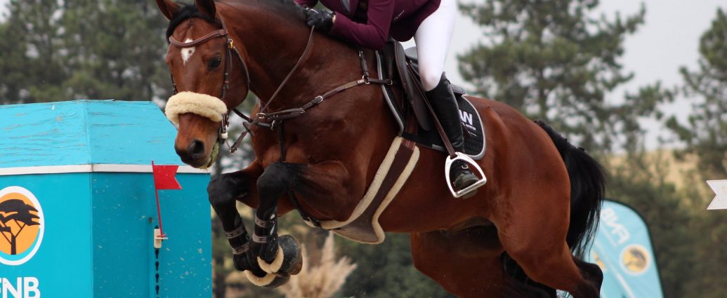 The JumpOff, Showjumping News, South Africa,