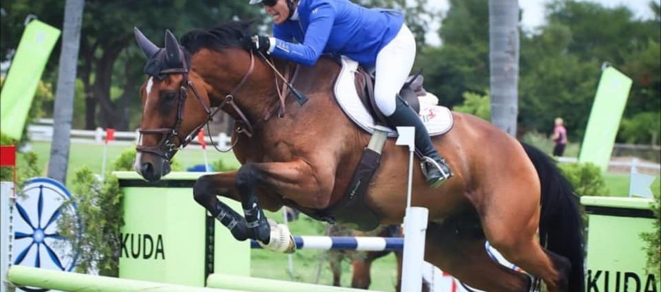 The JumpOff, Showjumping News, South Africa,