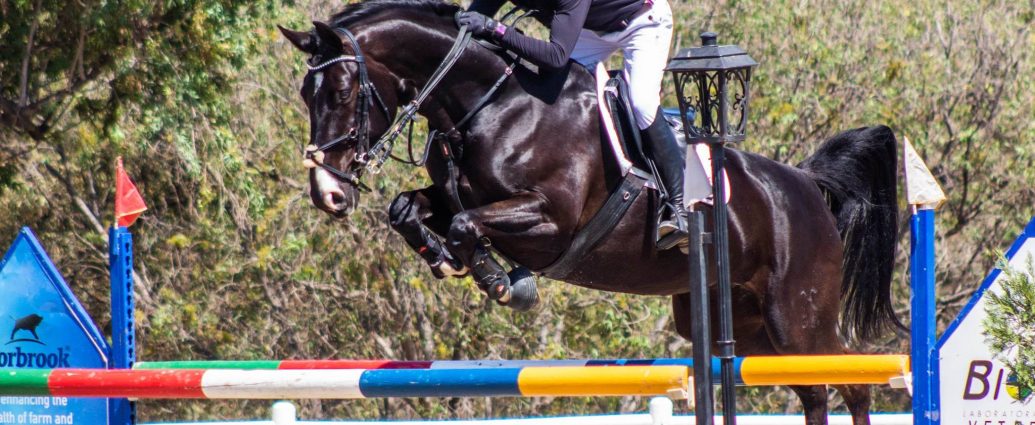 The JumpOff, Showjumping News, South Africa,