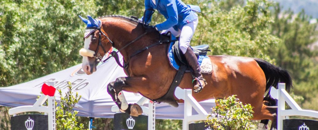 The JumpOff, Showjumping News, South Africa,