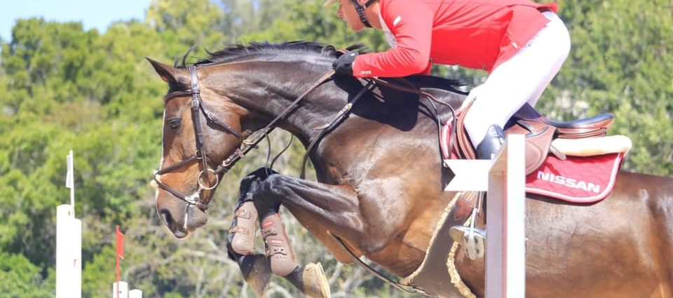 The JumpOff, Showjumping News, South Africa,