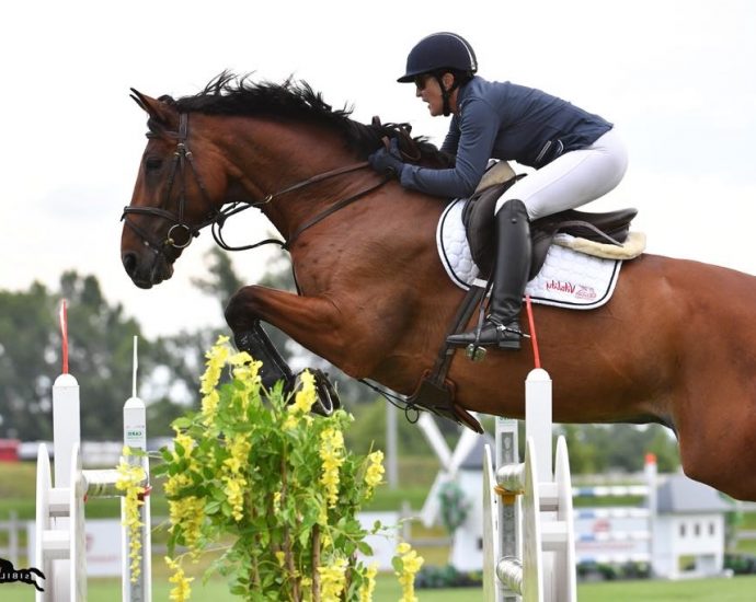 The JumpOff, Showjumping News, South Africa,