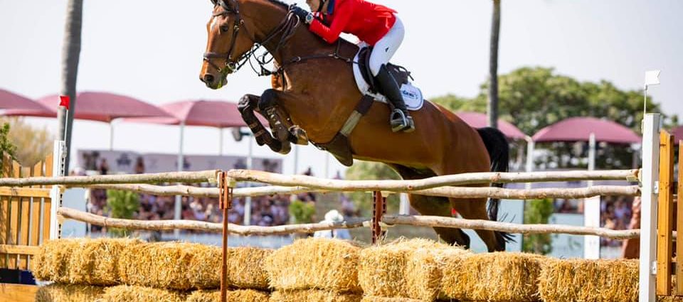 The JumpOff, Showjumping News, South Africa,