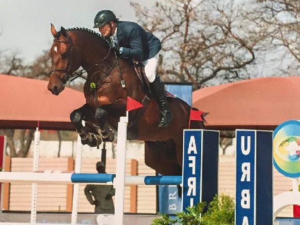 The JumpOff, Showjumping News, South Africa,