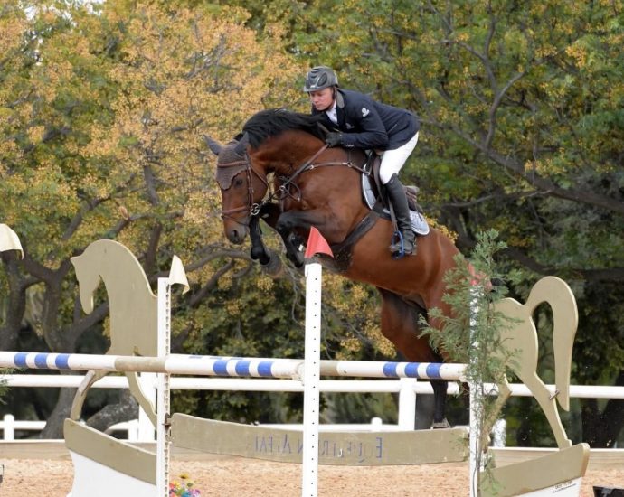 The JumpOff, Showjumping News, South Africa,