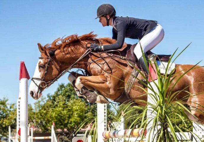 The JumpOff, Showjumping News, South Africa,