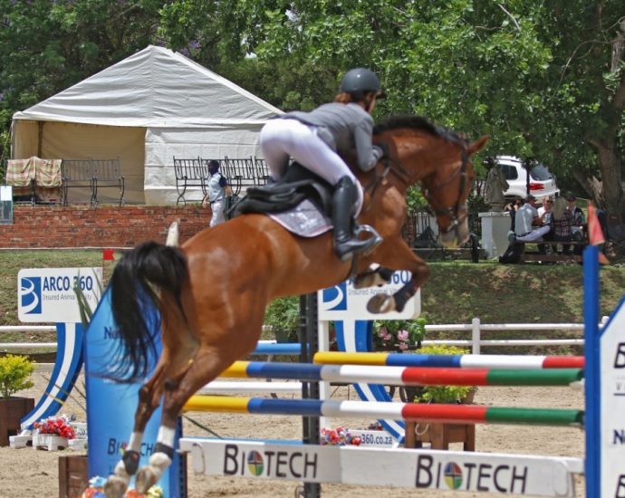 The JumpOff, Showjumping News, South Africa,