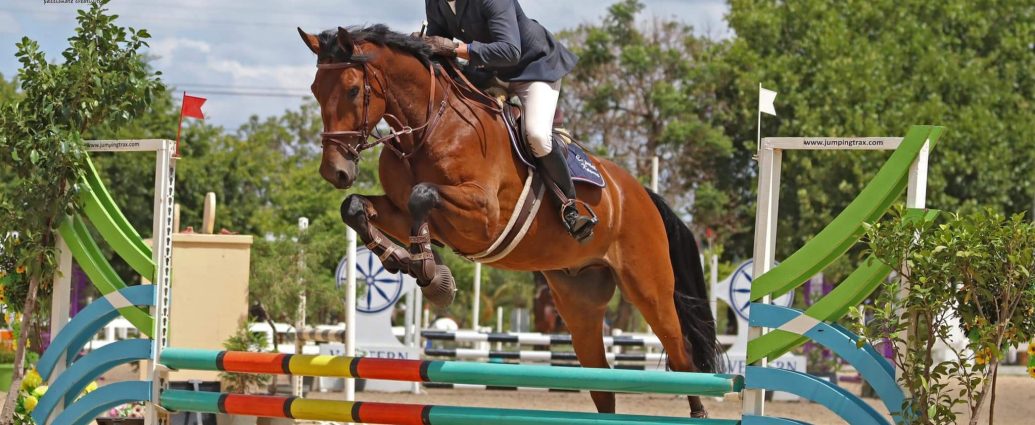 The JumpOff, Showjumping News, South Africa,