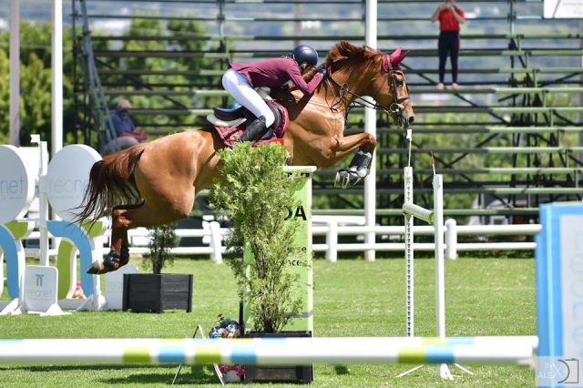 The JumpOff, Showjumping News, South Africa,