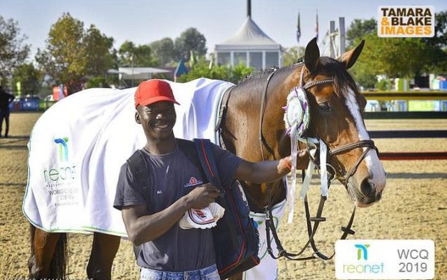 Blouberg Stables, The JumpOff