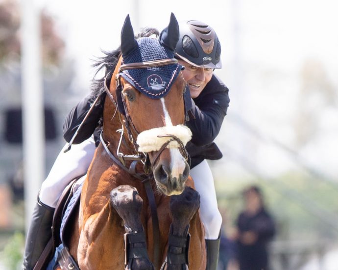 The JumpOff, Showjumping News, South Africa,