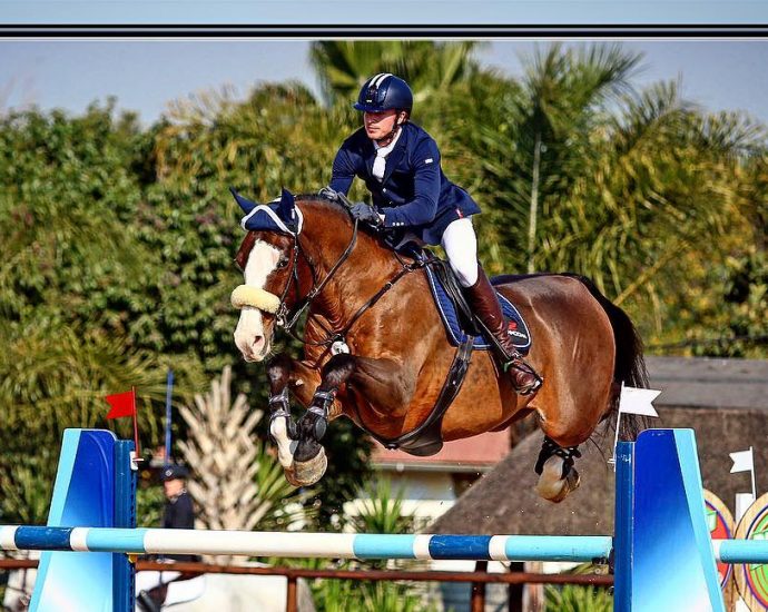 The JumpOff, Showjumping News, South Africa,