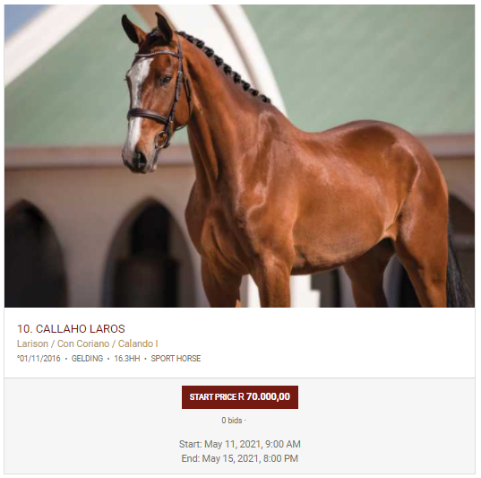 Callaho Warmblood Stud, The JumpOff