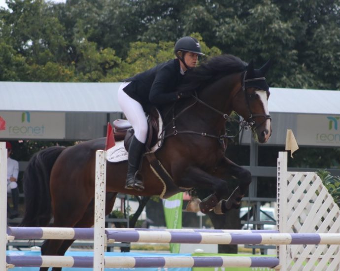 The JumpOff, Showjumping News, South Africa,