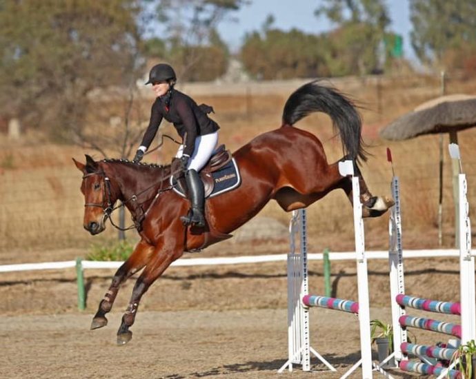 The JumpOff, Showjumping News, South Africa,