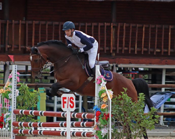 The JumpOff, Showjumping News, South Africa,