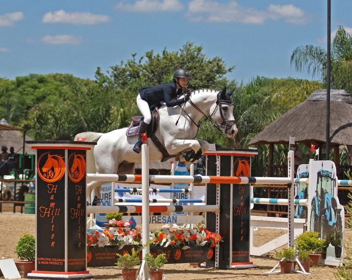 The JumpOff, Showjumping News, South Africa,