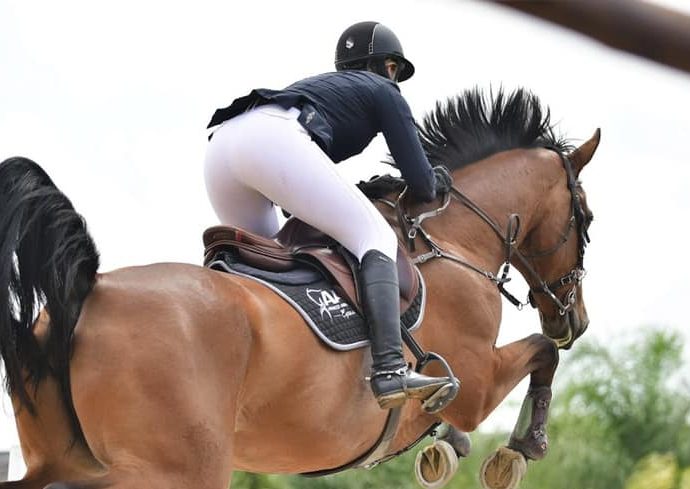 The JumpOff, Showjumping News, South Africa,