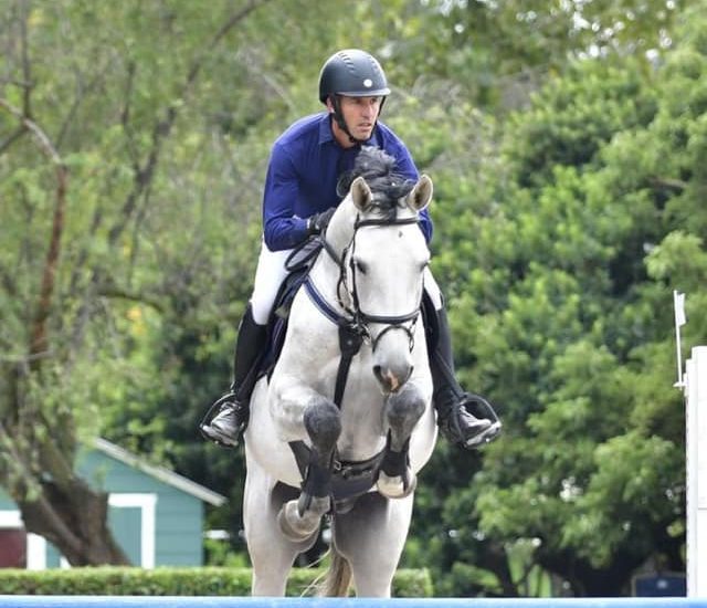 The JumpOff, Showjumping News, South Africa,