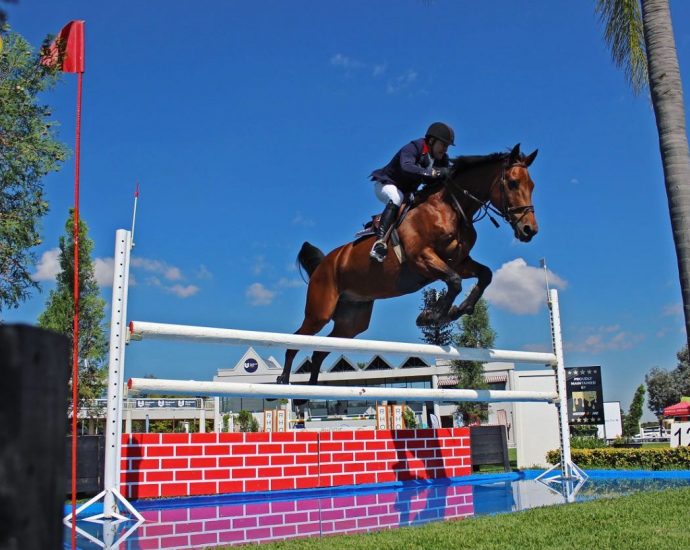 The JumpOff, Showjumping News, South Africa,