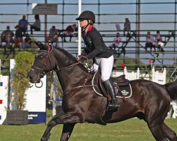 The JumpOff, Showjumping News, South Africa,