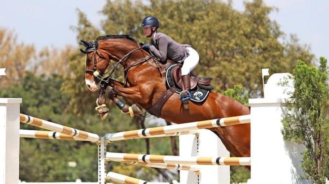 The JumpOff, Showjumping News, South Africa,